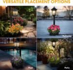 61KD0s33uKL._AC_SL1500_