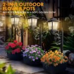 61KD0s33uKL._AC_SL1500_